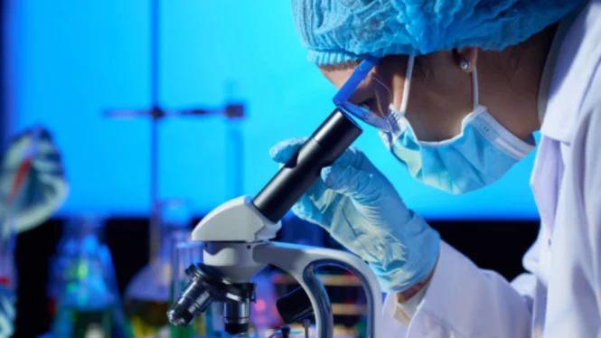 Lab 2